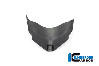 Panel under the front fairing Panigale V4 Racing
