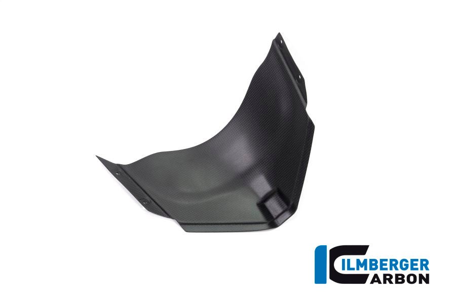 Panel under the front fairing Panigale V4 Racing
