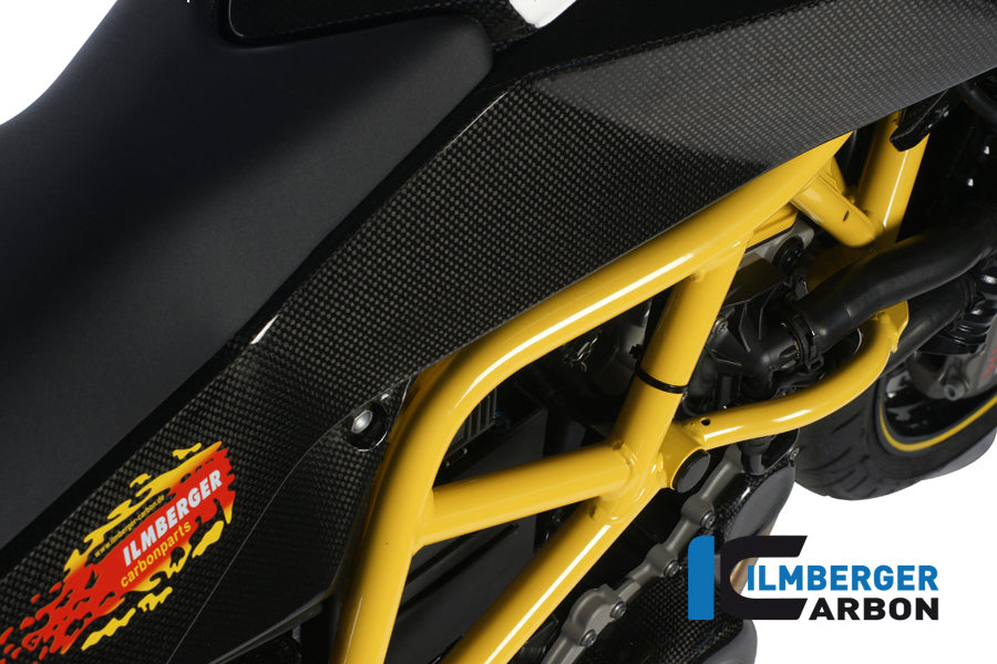 Fairing side panel right Carbon