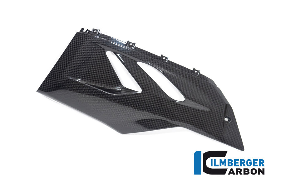Bellypan left Side Panigale V2