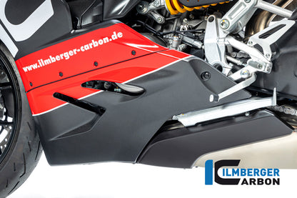 Bellypan left Side Panigale V2