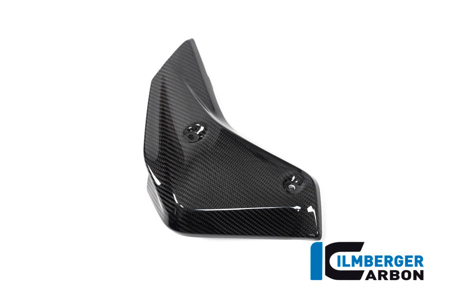 Watercooler Cover left side BMW R 1250 R
