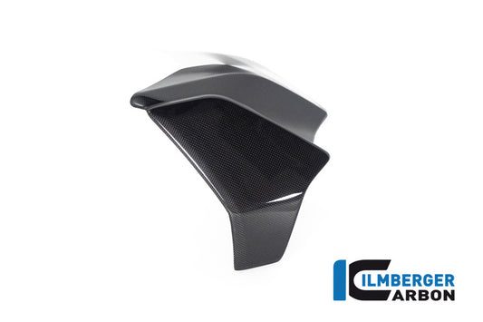 Radiator cover left Diavel 1260
