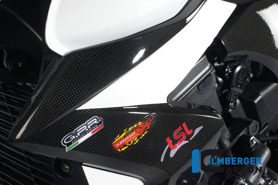 Left radiator cover carbon
