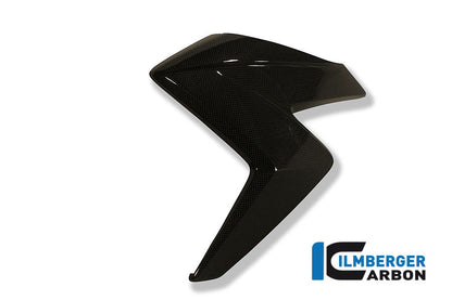 Left radiator cover carbon