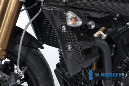 Water radiator cover left carbon