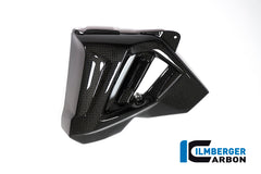 Left water radiator cover BMW F 800 R (ab 2015)