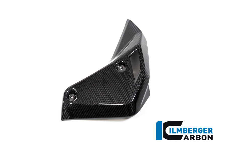 Watercooler Cover right side BMW R 1250 R