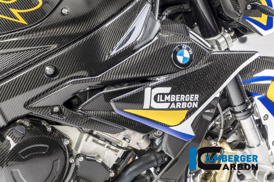 Radiator cover / Badge holder right side - BMW S 1000 R (ab 2017)