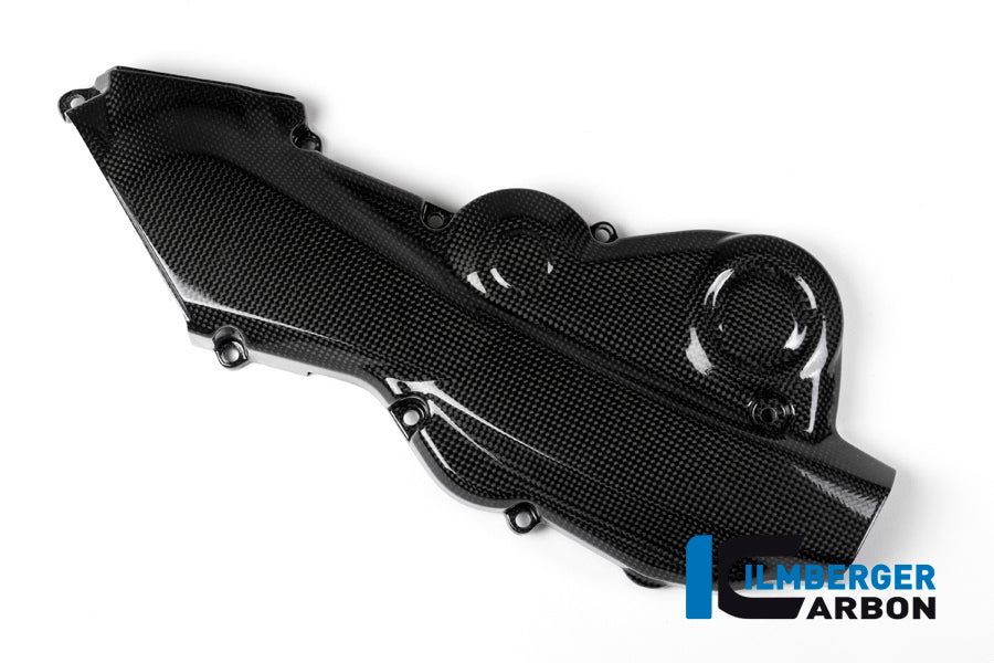 Horizontal timing belt cover surface Ducati Monster 1200