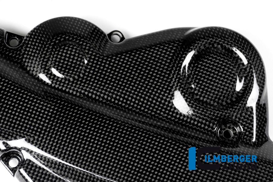 Horizontal timing belt cover surface Ducati Monster 1200