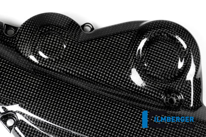 Horizontal timing belt cover surface Ducati Monster 1200