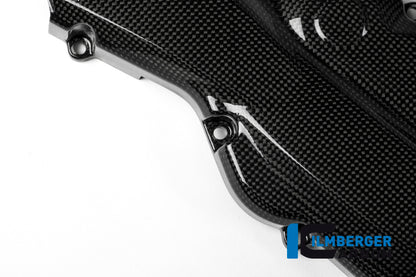 Horizontal timing belt cover surface Ducati Monster 1200