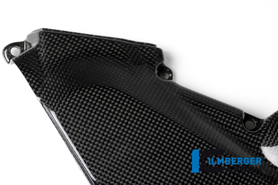 Horizontal timing belt cover surface Ducati Monster 1200