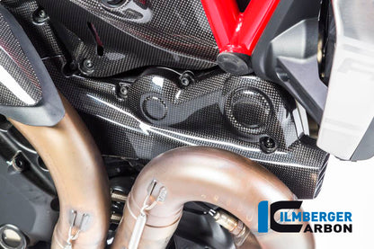 Horizontal timing belt cover surface Ducati Monster 1200