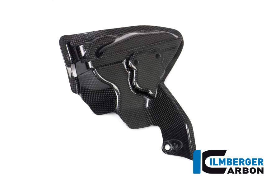 Cam Cover Right Side gloss Ducati Panigale 1299 (from 2015)