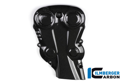 Vertical timing belt cover surface Ducati Monster 1200