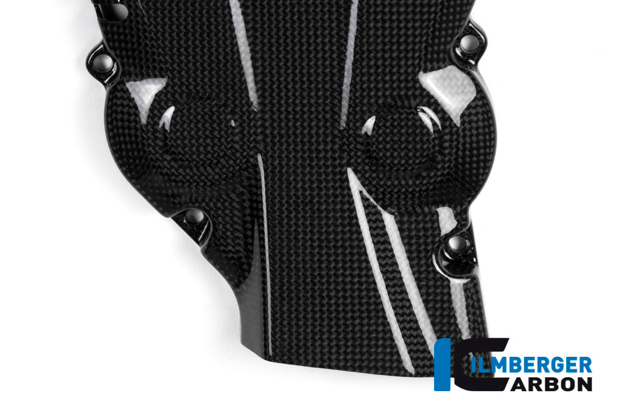 Vertical timing belt cover surface Ducati Monster 1200