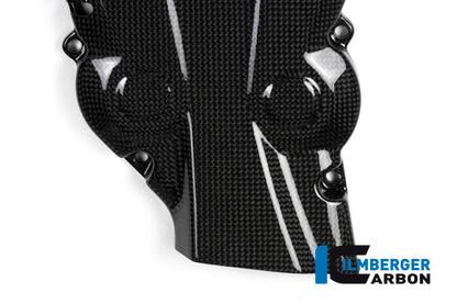 Vertical timing belt cover surface Ducati Monster 1200