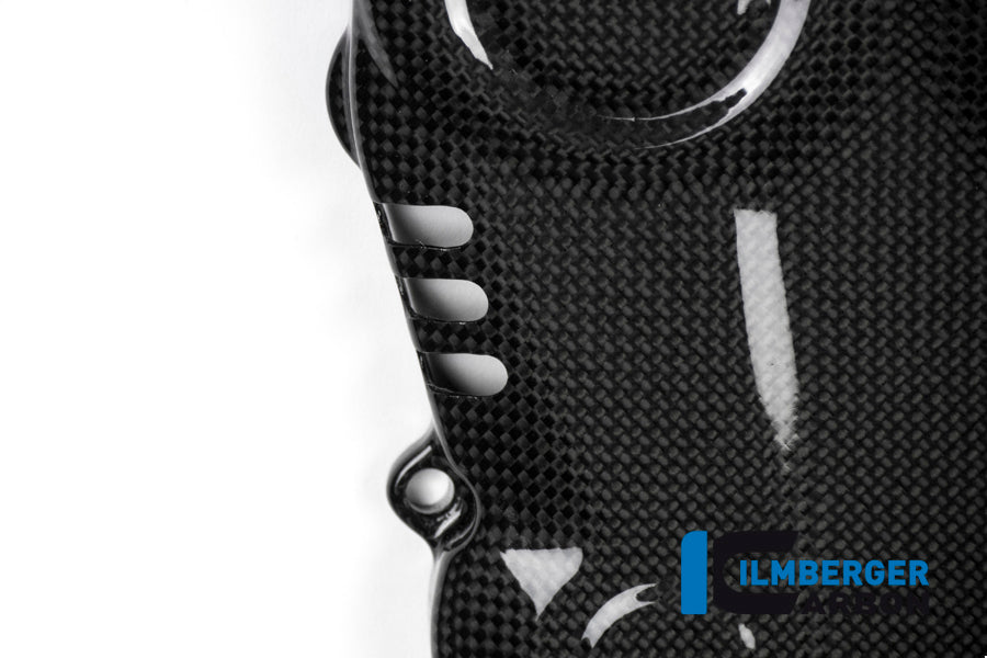 Vertical timing belt cover surface Ducati Monster 1200