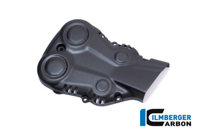 Vertical timing belt cover surface Ducati Monster 1200