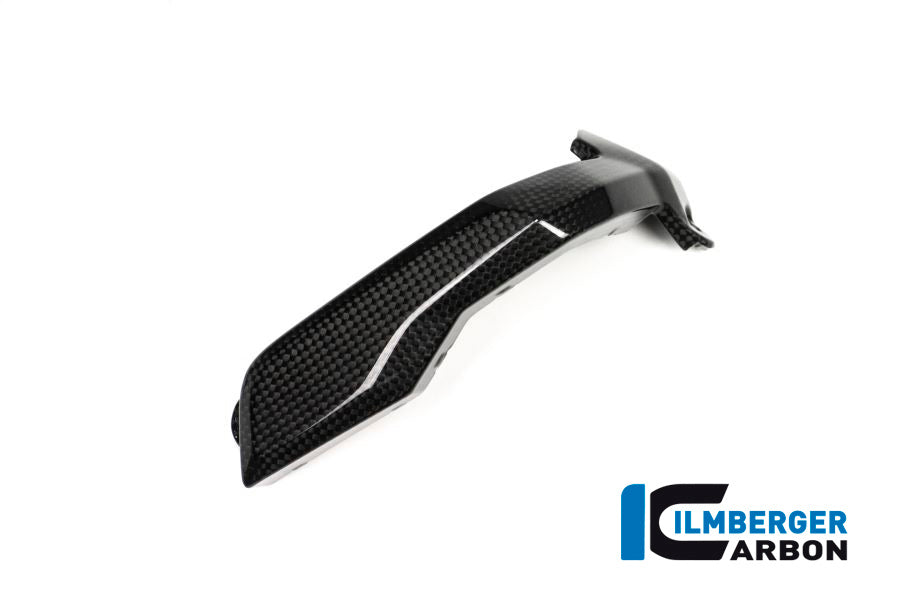 Spark Plug Cover right Side Carbon - BMW R 1200 GS (LC) from 2013 to 2015