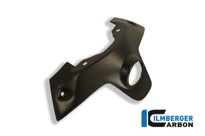 Ignition swich cover Ducati Panigale 1299 (from 2015)