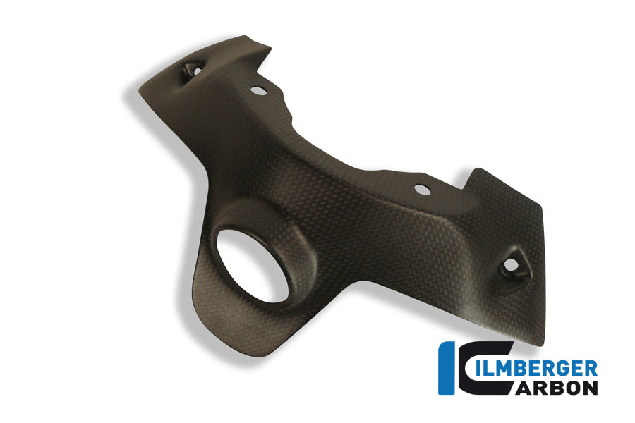 Ignition swich cover Ducati Panigale 1299 (from 2015)